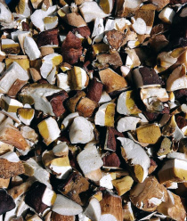 Грибной Алтай