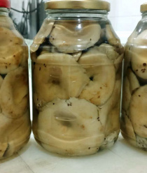 Грибной Алтай