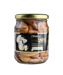 Грибной Алтай