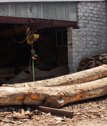 Фабрика Дуба