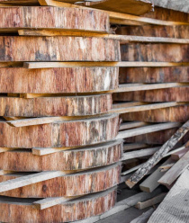 Фабрика Дуба