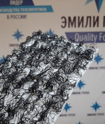 ЭМИЛИ Групп