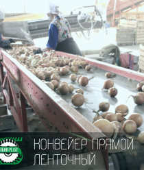 Авиком-Пласт