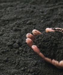 Стройтранс