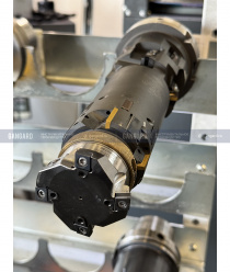 Гангард (Gangard)