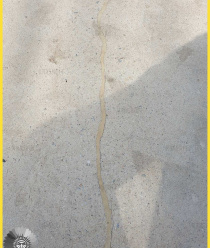 Краскофф ПРО