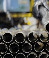 Робола (Robola)