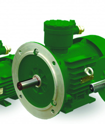 Сарапульский электрогенераторный завод (СЭГЗ)