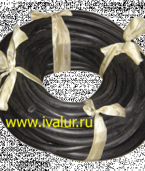 Томские технологии