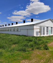 Сорочинская Птицефабрика