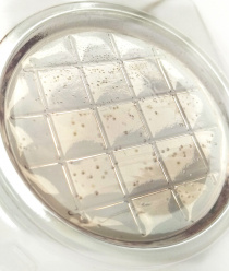 НПО Альтернатива