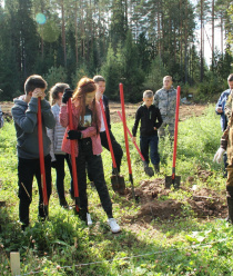 Тотемский лесхоз
