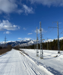 Шадринский завод металлоконструкций (ШЗМК)