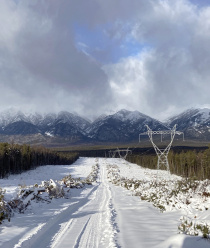 Шадринский завод металлоконструкций (ШЗМК)