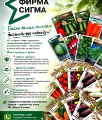 Фирма Сигма