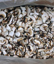 Грибной Алтай