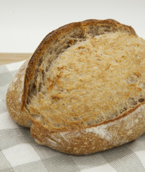 Мистер Злак