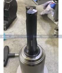 Гангард (Gangard)