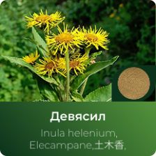 Девясила экстракт сухой