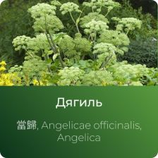 Дягиля экстракт сухой