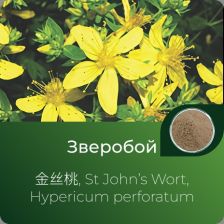 Зверобоя экстракт сухой