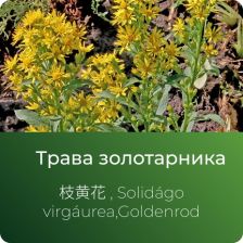 Золотарника экстракт сухой
