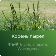 Пырея экстракт сухой