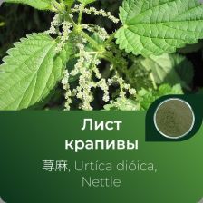 Крапивы листьев экстракт сухой