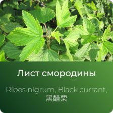  Смородины экстракт сухой