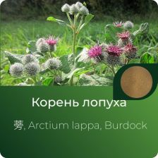 Лопуха экстракт сухой