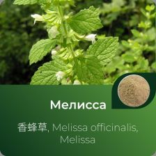 Мелиссы экстракт сухой