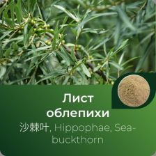 Облепихи экстракт сухой