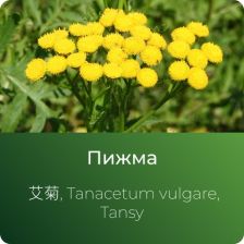 Пижмы экстракт сухой