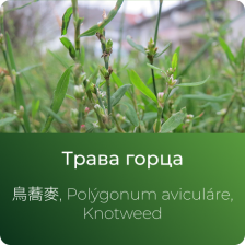 Горца (спорыша) экстракт сухой