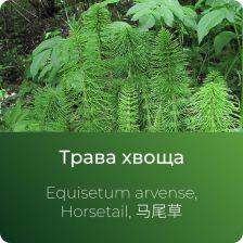  Хвоща экстракт сухой
