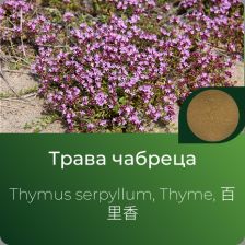 Чабреца (тимьяна) экстракт сухой