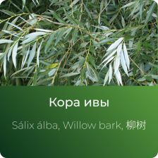  Ивы экстракт сухой