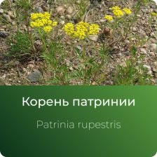  Патринии экстракт сухой