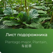 Подорожника экстракт сухой
