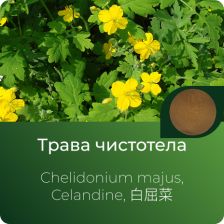  Чистотела экстракт сухой