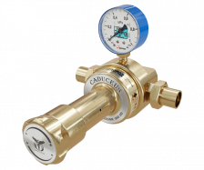 Кислородный сетевой регулятор CADUCEUS СКО-250