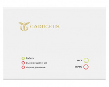 Устройство диспетчеризации кислородного газификатора CADUCEUS