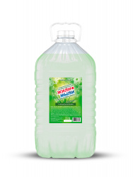 Крем-мыло «‎Жили-Мыли» Антибактериальное с аром. «Алое Вера‎» 5 л, ПЭТ