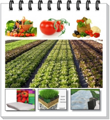 Агротекстиль