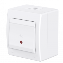 Выключатель одноклавишный CADUCEUS ALING POWER для открытой проводки, с символом Свет, с индикацией, 10АХ, 250В~ (Артикул: 255I)