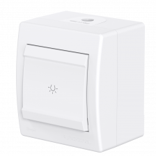 Выключатель одноклавишный CADUCEUS ALING POWER для открытой проводки, с символом Свет, 10АХ, 250В~ (Артикул: 255)