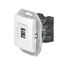 Розетка скрытой установки CADUCEUS ALING PRESTIGE двойная, USB, тип А, для зарядки устройств, 2,1А, 5В=, 250В~, механизм (Артикул: 60161)