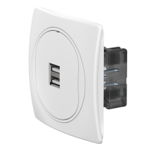 Розетка скрытой установки CADUCEUS ALING EON USB тип A для зарядки устройств, двойная, 2,1А, 5В=, 250В~ (Артикул: E6161.00)