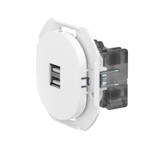 Розетка скрытой установки CADUCEUS ALING EON USB тип A для зарядки устройств, двойная, 2,1А, 5В=, 250В~, механизм (Артикул: E6161)