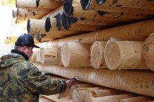 Деревянные столбы электрические и для линий связи пропитанные 6-13 м